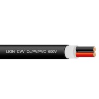 Lion CVV-2x2 - 600V : Copper Cable CVV ២ ស្នូល បណ្តួល ស្ពាន់ 600V