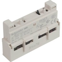 Schneider GVAE11.jpg